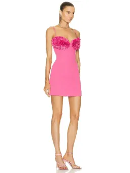 Rachel Gilbert Margot Mini Dress in Pink Size 0 / AU 6 for rent on The Volte - image 2