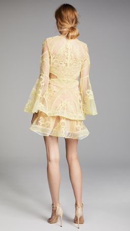 Thurley Chameleon Mini Dress for rent on The Volte - image 4