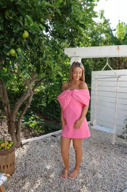 Rachel Gilbert Kace Mini Dress Pink Size 1 / AU 8 for rent on The Volte - image 6