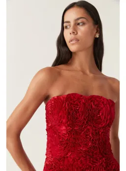 Aje Gazer Rosette Mini Dress Scarlet Red Size AU 6 for rent on The Volte - image 2