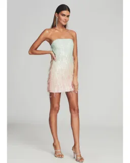 Retrofete Anastasia Sequin Feather Mini Dress in Feather Size AU 8 for rent on The Volte - image 1