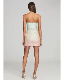 Retrofete Anastasia Sequin Feather Mini Dress in Feather Size AU 8 for rent on The Volte - image 3