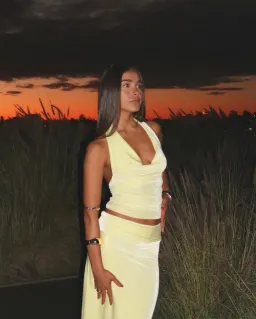 7th & York Lemon Goldie Top and Maxi Skirt Set Yellow Size S/Au 8  for rent on The Volte - image 2