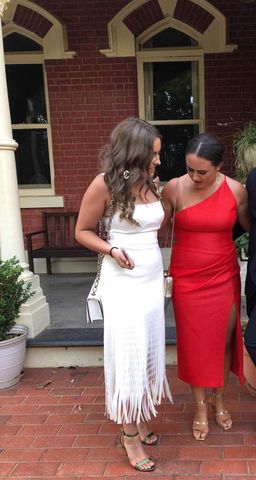 Dion Lee Bustier Perf Dress for rent on The Volte - image 3