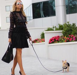 Self Portait Adeline Lace Mini Dress Black Size 4 for rent on The Volte - image 6