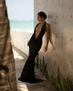 Rat & Boa Donyale Dress Black Size 8  for rent on The Volte - image 1