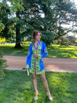 Alemais Linda Mini Dress Blue/Print Size 8 for rent on The Volte - image 1