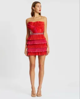  Eliya the Label Maryanne Mini Dress Red and Pink Size XS/Au 6 for rent on The Volte - image 1