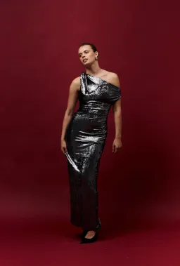 Misha Nyra Metallic Gown Silver Size 8/S for rent on The Volte - image 1