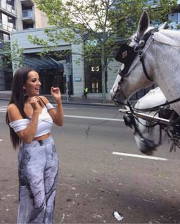 Willow Marble Long Wide Leg Pants Size 8 for rent on The Volte - image 2