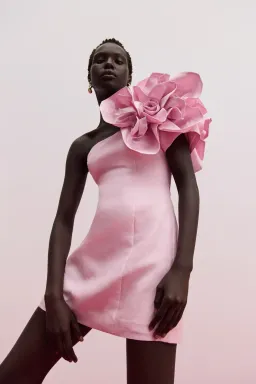 Aje Florence Mini Dress Lilac Blush Size 12 for rent on The Volte - image 1