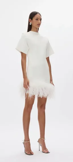 Rachel Gilbert Rita Mini Ivory Au Size 10 for rent on The Volte - image 3