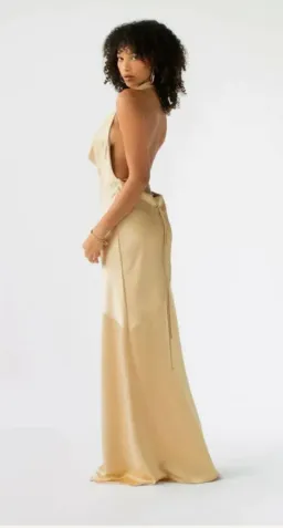 Arcina Ori Daniella Gold Size 6/XS for rent on The Volte - image 3