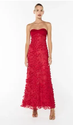 Manning Cartell Enchantment Balconette Gown in Scarlet Red Size 10 for rent on The Volte - image 4