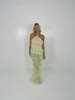 The Bar Limoncello Henri Gown Size XS / AU 6 for rent on The Volte - image 1