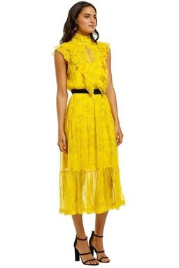 Husk Mirage Dress size 14 for rent on The Volte - image 2