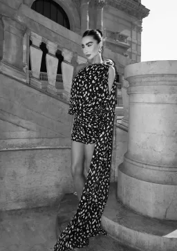 Leam Almes Dalmatian Print Chiffon Mini Dress with Metal Stone Size XS / AU 6 for rent on The Volte - image 4