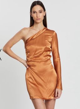 Lani mini dress  for rent on The Volte - image 5