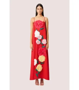 Elliatt Buttercup Embroided Maxi Dress Red Size AU 10 for rent on The Volte - image 1