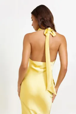 Lexi Novia Maxi Dress Pineapple Yellow Size L / Size 12 for rent on The Volte - image 4