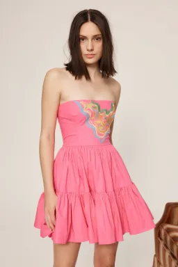 NEW Alemais Celeste Embroidered Mini Dress in Pink Size AU 6 for rent on The Volte - image 1