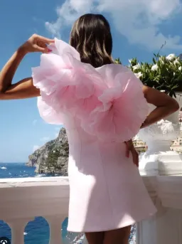 Rachel Gilbert Angelo Mini Dress Pink Size 10 for rent on The Volte - image 2