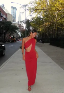 MISHA THE SOLSTICE CUPRO DRESS in CHERRY RED SIZE XS / 6 - 8  for rent on The Volte - image 2