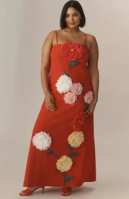 Elliatt Buttercup Embroidered Maxi Dress In Red size XL/ AU14-16 for rent on The Volte - image 2