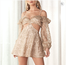 Sofia The Label 'Golden Hour' Dress  for rent on The Volte - image 1