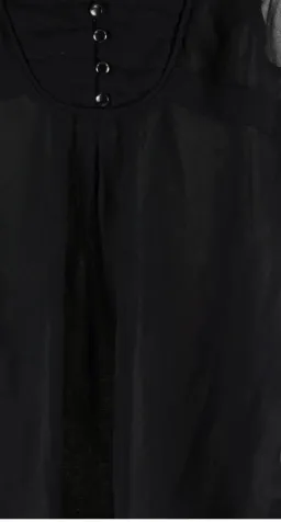 Pilgrim Size 6 Black Sheer Sleeveless Ruffle Blouse with Tie Waist for rent on The Volte - image 3