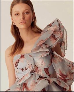 Thurley Folklore Frill Dress in size 8 for rent on The Volte - image 2