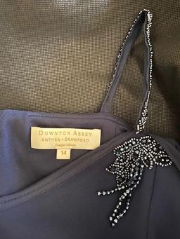 Anthea Crawford Downtown Abbey Navy Shawl Gown size 14 for rent on The Volte - image 6