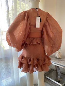 Charlotte Draped Mini Dress- Desert Rose for rent on The Volte - image 4