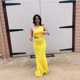 Alex Perry Serena Gown Yellow Size 8 for rent on The Volte - image 7