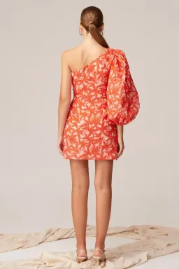 Keepsake the Label Parallel Mini Dress Cosmetic W Chili Print Size 10 for rent on The Volte - image 2