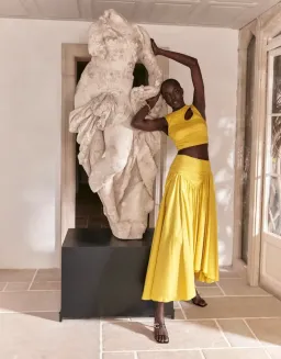 Aje The Jolie Asymmetric Cut Out Set Size 8 Sun Shower Yellow Size 8 for rent on The Volte - image 5