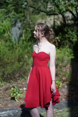 Pilgrim Midnight Chaos Dress in Red Size 6 for rent on The Volte - image 4