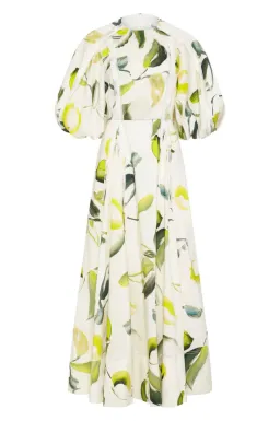 Aje Zest Midi Dress Print Size 6 / XS for rent on The Volte - image 5