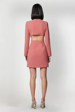 Elliatt Ametrine Dress Rose Size S/Au 8  for rent on The Volte - image 3