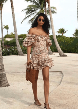 Zimmermann Painted Hearts Folds Mini Dress Peach Tapestry Size 1 / AU 10 for rent on The Volte - image 3