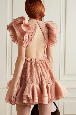 Zimmermann The Dancer Frilled Mini Dress in Blush Size 1 (AU 10) for rent on The Volte - image 2