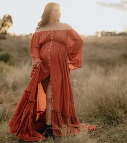 We Are Reclamation Ruffle Me Open Gown in Rust One Size Fits Most  for rent on The Volte - image 6