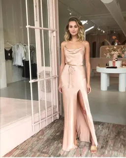 Shona Joy La Lune Bias Cowl Maxi Dress in Desert Rose for rent on The Volte - image 6