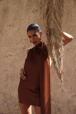 Rat & Boa Serafia Mini Dress Brown Size S/AU 8 for rent on The Volte - image 3