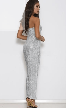 Hilton Sequin Dress  for rent on The Volte - image 2