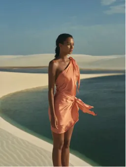 BAOBAB Marea Mini Dress Blossom XS/Au 6 for rent on The Volte - image 1