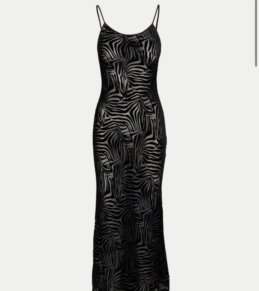 The Amber - Zebra Realisation Par for rent on The Volte - main image