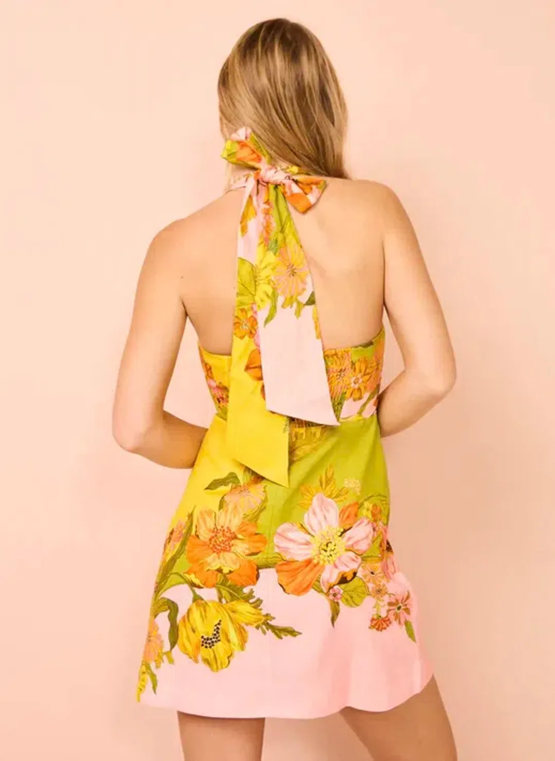 Alemais Silas Halter Mini Dress Multi Floral Size 8 for rent on The Volte - main image