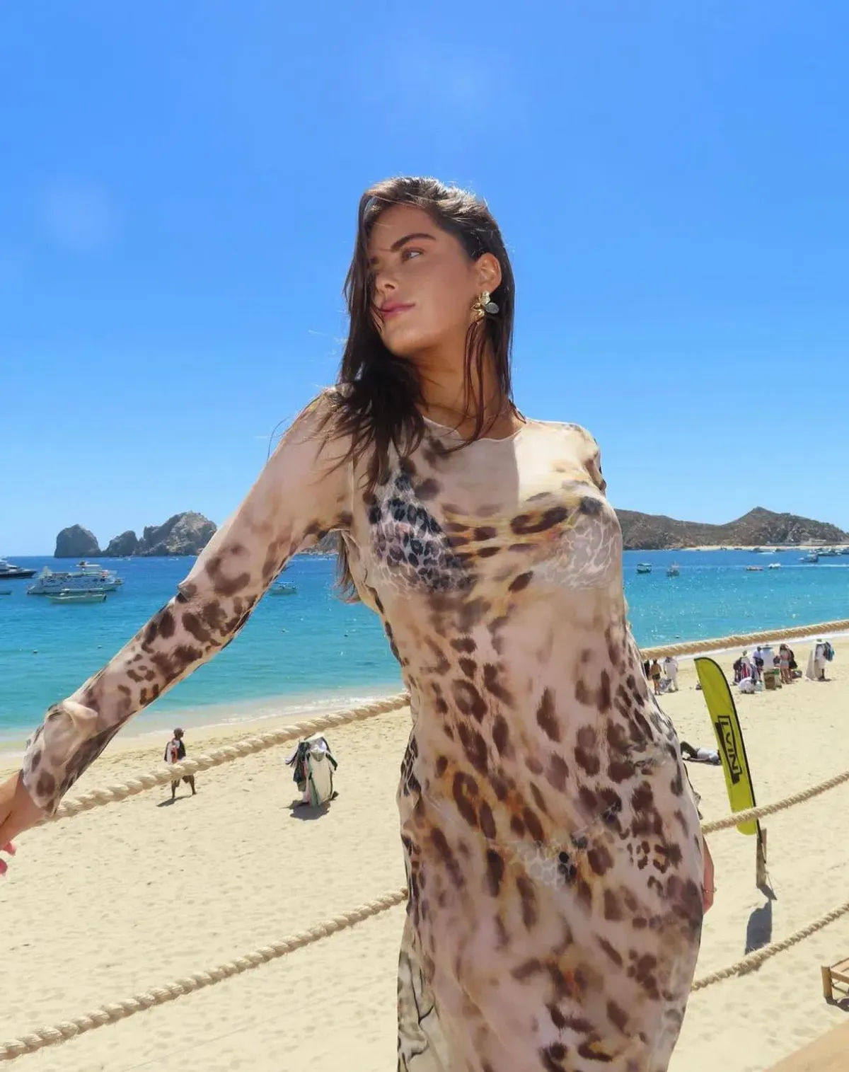 Retrofete Vienna Maxi Dress Vintage Cheetah Size 8 - Image 1