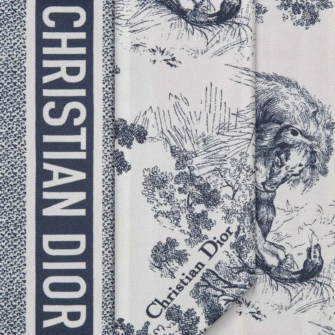 Dior Toile De Jouy Sauvage Mitzah Scarf for rent on The Volte - main image